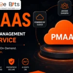 PMaaS project management as a service for efficient project delivery
